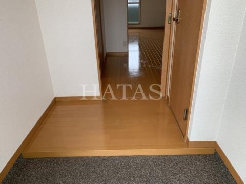 玄関　同物件別部屋のお写真です※現況優先