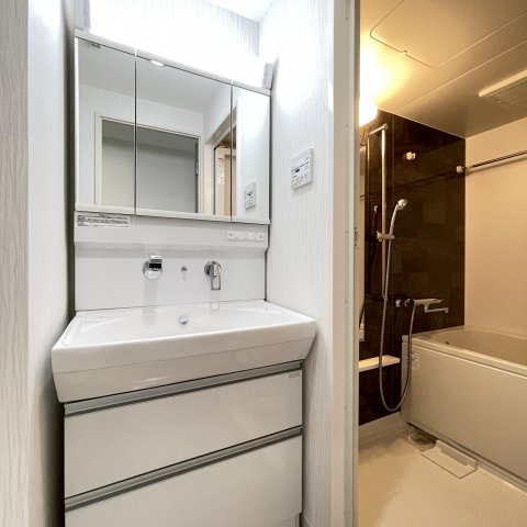 洗面設備　同仕様タイプです