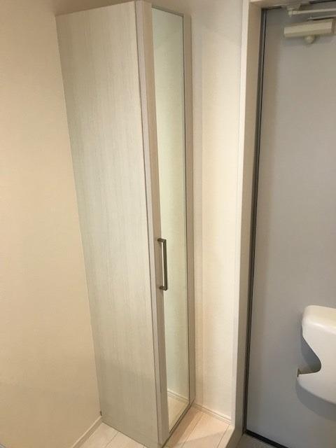 その他設備　姿見※同シリーズ物件の写真になります