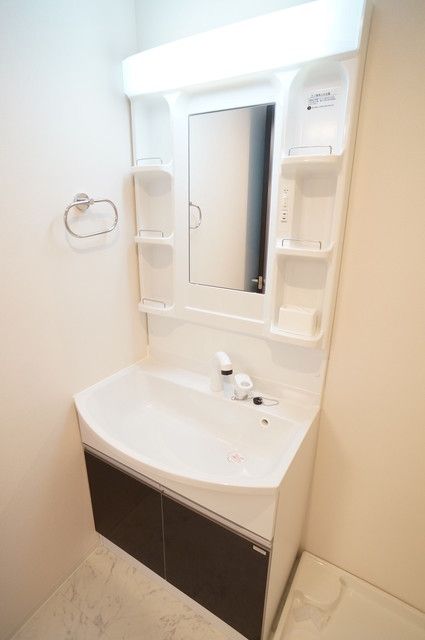 洗面設備　他号室。参考写真