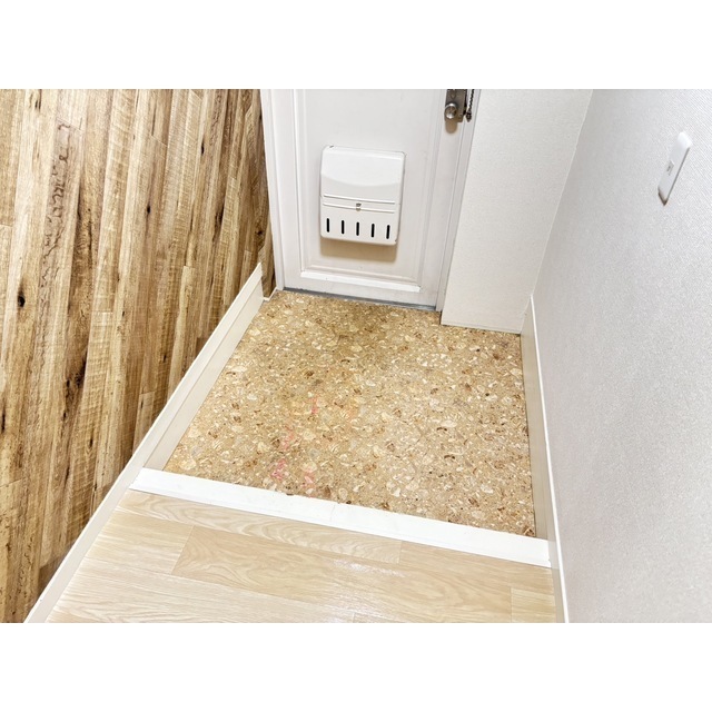 玄関　玄関（同仕様タイプ）