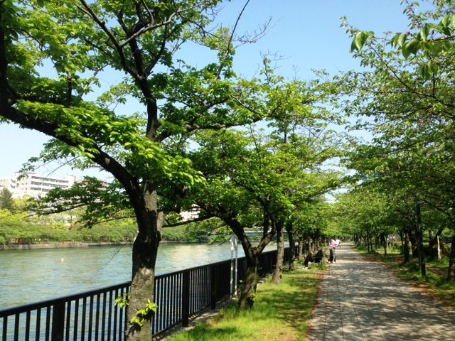 公園　桜ノ宮公園（公園）まで1700m