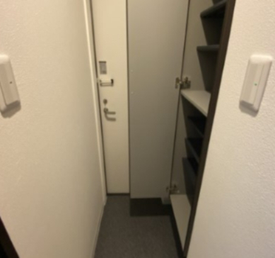 玄関　※同施工別建物参照