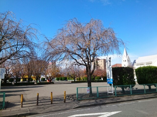 公園　若宮公園（公園）まで250m