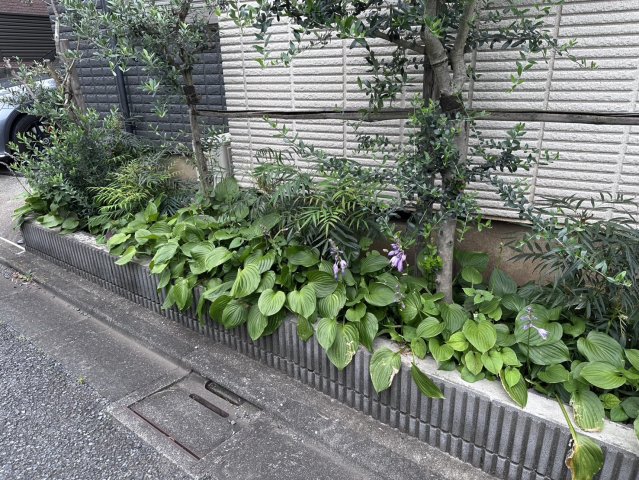 庭
