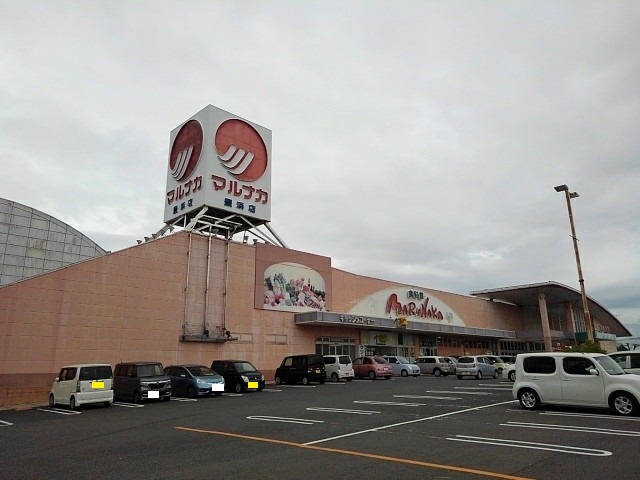 スーパー　マルナカ豊浜店（スーパー）まで1100m