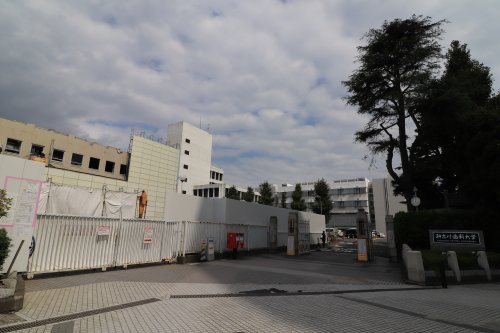 大学・短大　私立神奈川歯科大学（大学・短大）まで2896m