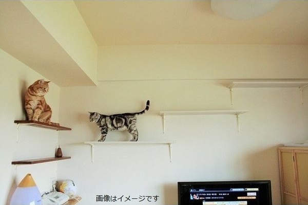 居室・リビング　名古屋で一番初期費用の安い賃貸専門の不動産会社です(^^)