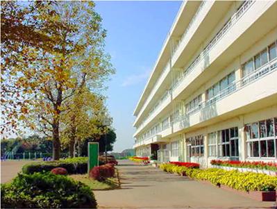 中学校　牛久市立牛久第三中学校（中学校）まで1209m