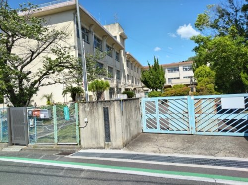小学校　柏原市立玉手小学校（小学校）まで374m