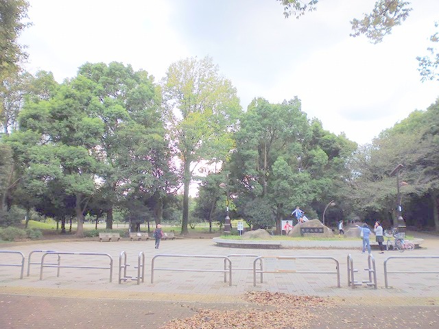 公園　都立光が丘公園北（公園）まで1068m