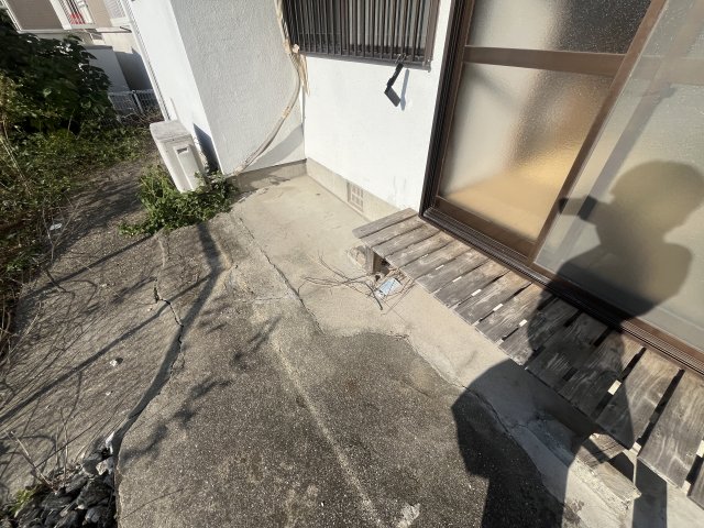 庭
