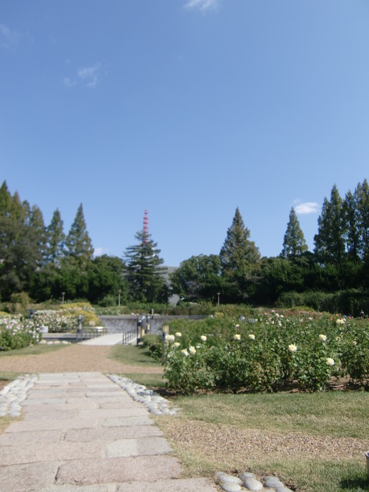 公園　靭公園（公園）まで8m