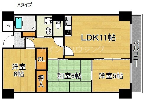 泉佐野市日根野のマンションの間取り