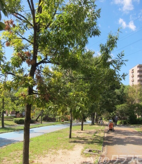 【大阪市西淀川区千舟のマンションの公園】