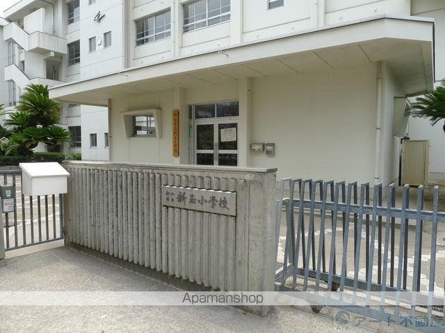 小学校　新玉小学校（小学校）まで1108m