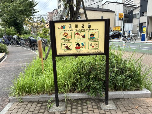 公園　浜川公園（公園）まで307m