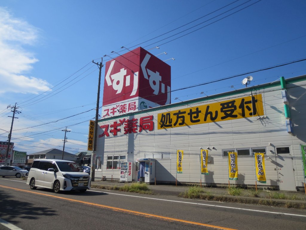 ドラックストア　スギ薬局毛受店（ドラッグストア）まで1352m