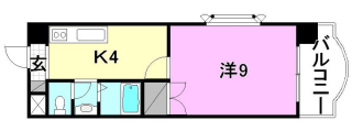 ロイヤルアネックス宮西の間取り