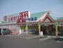 ドラックストア　スーパードラッグひまわり中島店（ドラッグストア）まで1204m