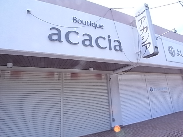 その他　acacia（その他）まで1756m