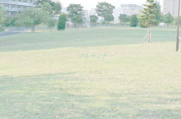 公園　汐入公園（公園）まで508m