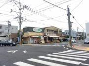 スーパー　ショッピングのだ（スーパー）まで485m