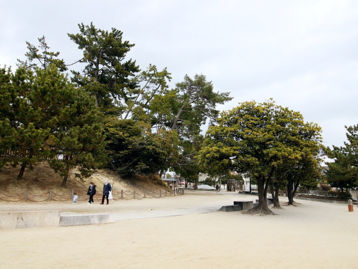 公園　大塚公園（公園）まで223m