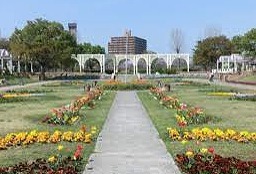 その他　住之江公園（その他）まで974m