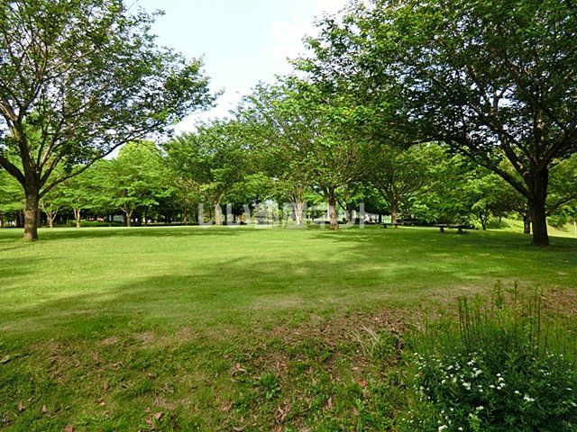 公園　富里中央公園 野鳥の森（公園）まで1052m