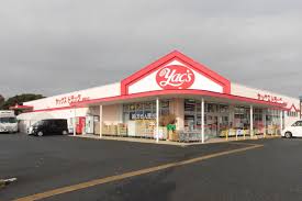 ドラックストア　ヤックスドラッグ 木更津江川店（ドラッグストア）まで3220m