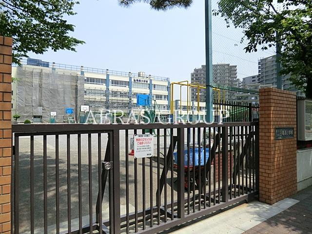 小学校　江東区立亀高小学校（小学校）まで540m