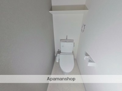 レクシア フラッツ桜町のトイレ写真