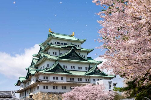 その他　名古屋城（その他）まで1051m