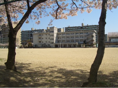 中学校　大東市立大東中学校（中学校）まで682m