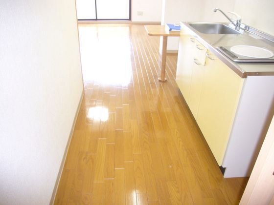 キッチン　他号室のお写真です