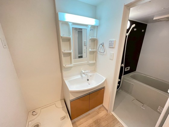 洗面設備　※別部屋の写真です