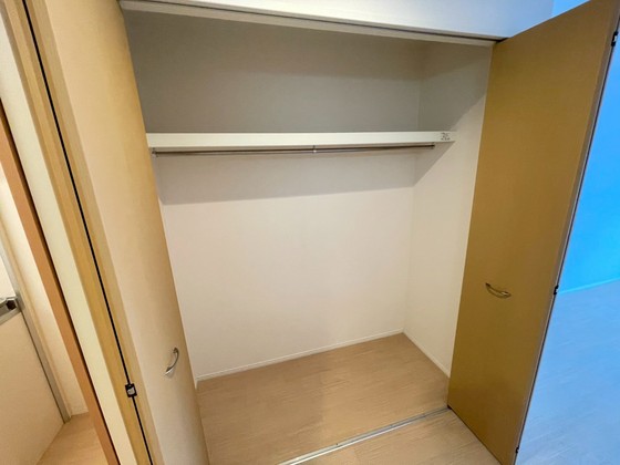収納　※別部屋の写真です