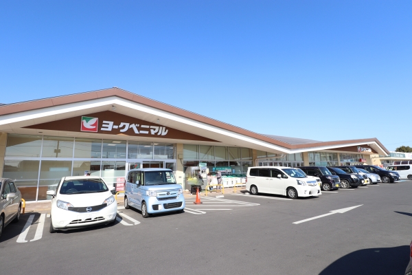 スーパー　ヨークベニマル新原店（スーパー）まで900m