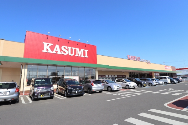 その他　カスミ水戸西原店（その他）まで600m