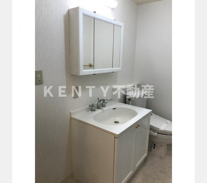 洗面設備　独立洗面化粧台が付いています