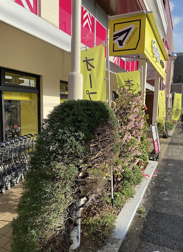 ドラックストア　マツモトキヨシ練馬中村南店（ドラッグストア）まで185m