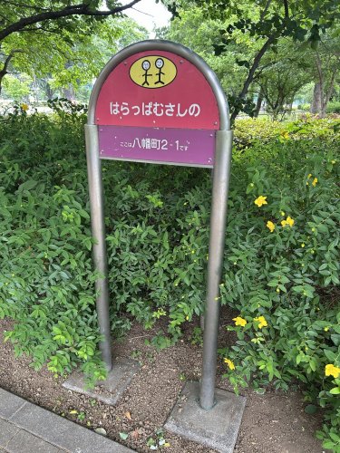 公園　はらっぱむさしの（公園）まで427m