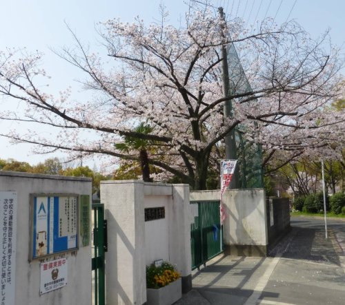 小学校　豊中市立寺内小学校（小学校）まで552m