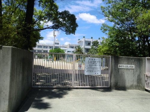 小学校　尼崎市立　立花小学校（小学校）まで684m