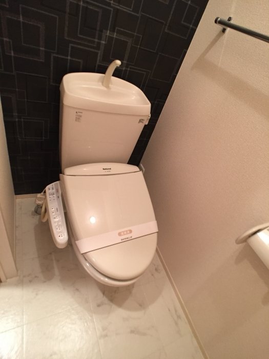 トイレ　きれいなトイレです