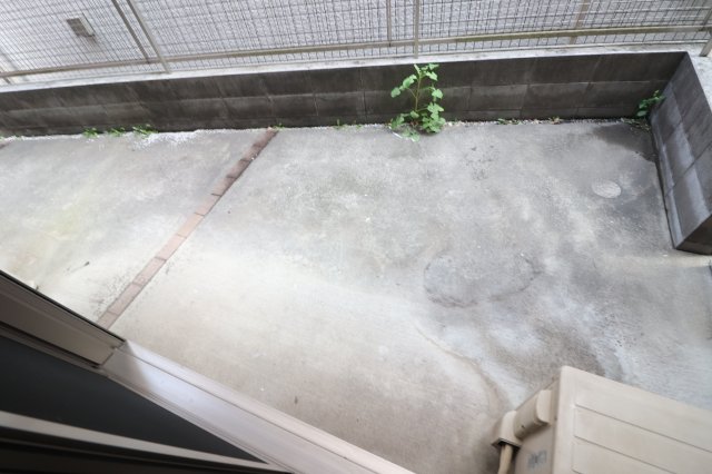 メゾンルピナスの内装写真