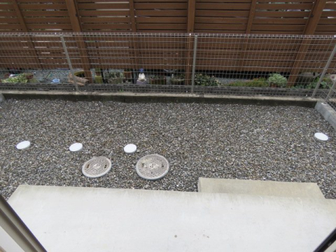 スプルースのその他写真