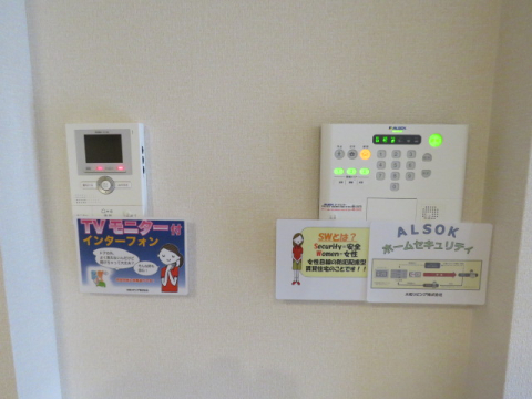 スプルースのその他写真