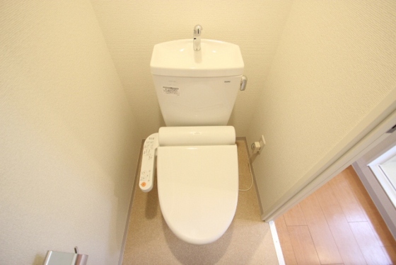 ピュアメゾン五日市のトイレ写真